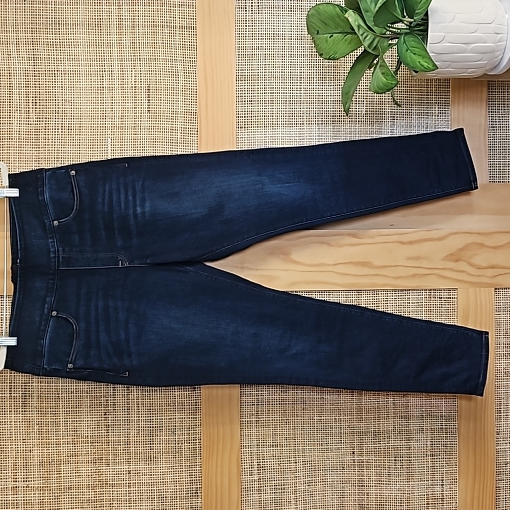 Spanx Signature Waist Back Zip Skinny Jeans 32